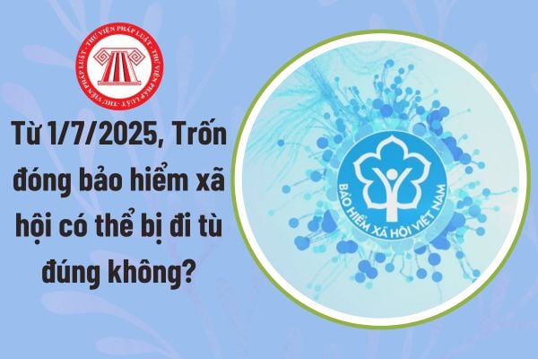 Pháp luật