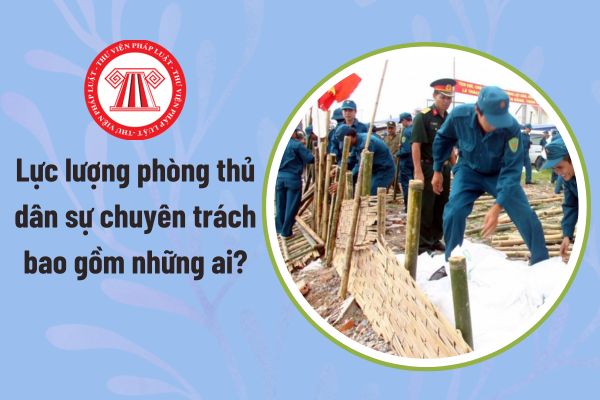 Pháp luật