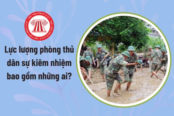Pháp luật