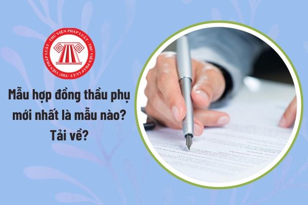 Pháp luật