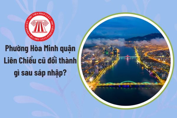 Pháp luật