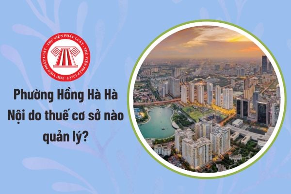 Pháp luật
