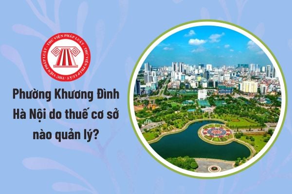 Pháp luật