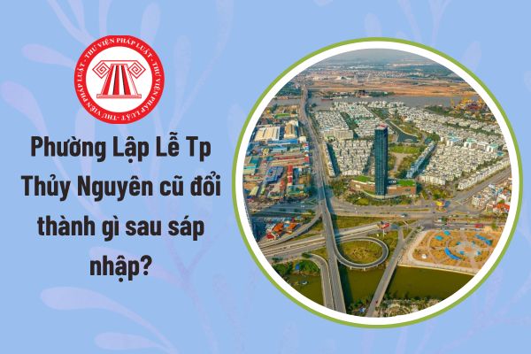 Pháp luật