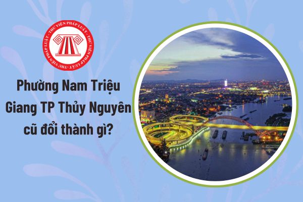 Pháp luật