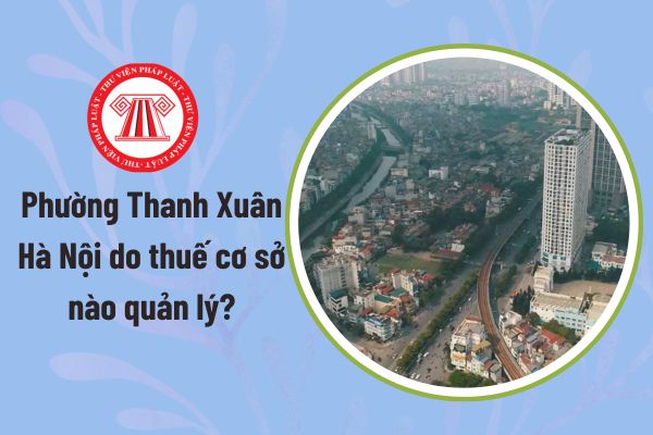 Pháp luật