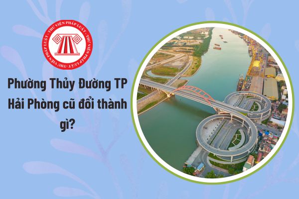 Pháp luật