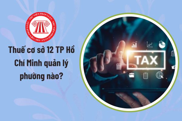 Pháp luật