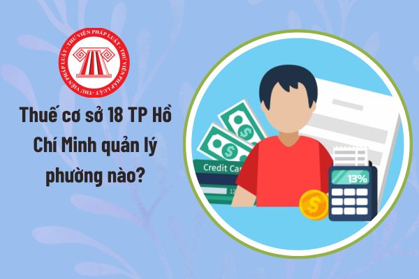 Pháp luật