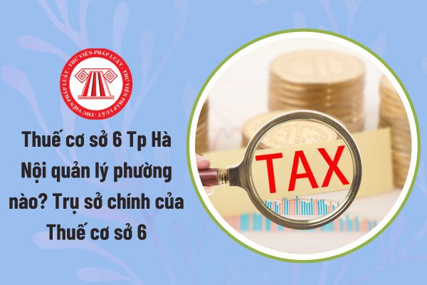 Pháp luật