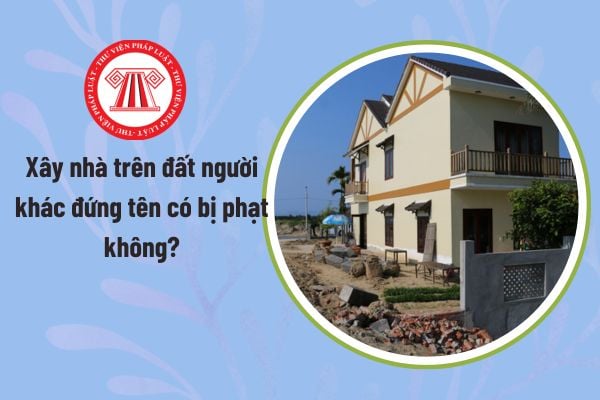 Pháp luật