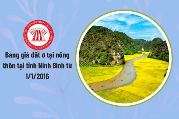 Bảng giá đất ở tại nông thôn tại tỉnh Ninh Bình từ 1/1/2016 ra sao? Xem chi tiết bảng giá đất ở tại nông thôn Ninh Bình 2026?