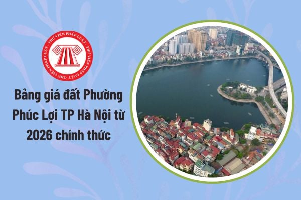 Pháp luật