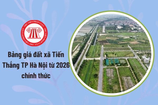 Pháp luật