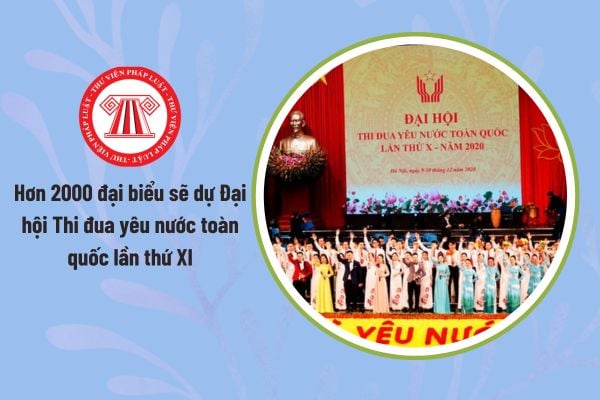 Pháp luật