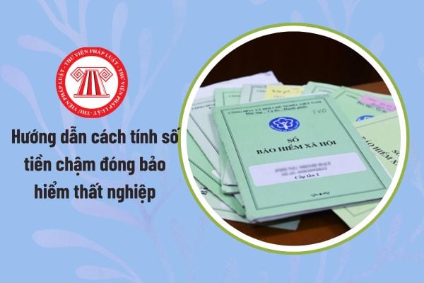 Pháp luật