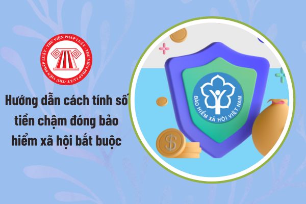 Pháp luật