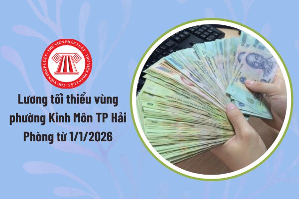 Pháp luật