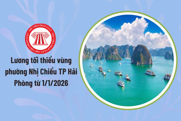 Pháp luật