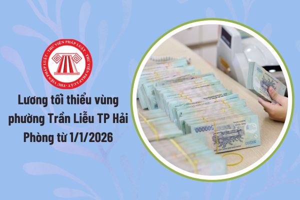 Pháp luật