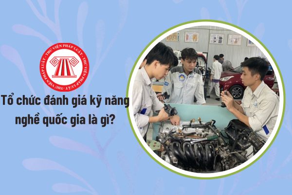 Pháp luật