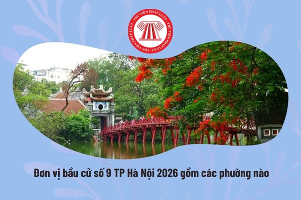 Pháp luật