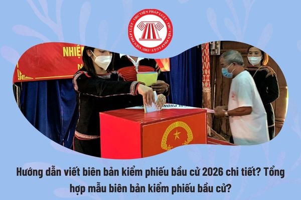 Pháp luật