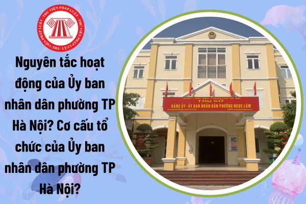 Nguyên tắc hoạt động của Ủy ban nhân dân phường TP Hà Nội? Cơ cấu tổ chức của Ủy ban nhân dân phường TP Hà Nội?