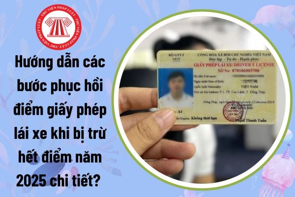 Hướng dẫn các bước phục hồi điểm giấy phép lái xe khi bị trừ hết điểm? GPLX bị trừ hết điểm có được lái xe không?