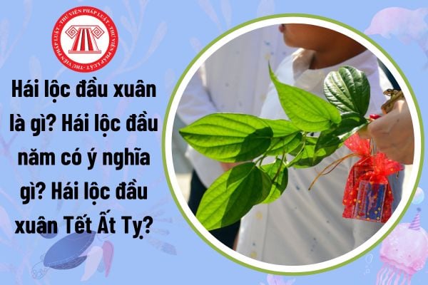 Hái lộc đầu xuân là gì? Hái lộc đầu năm có ý nghĩa gì? Hái lộc đầu xuân Tết Ất Tỵ năm 2025?