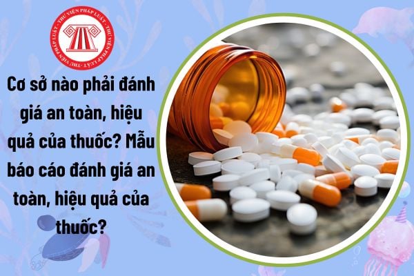 Cơ sở nào phải đánh giá an toàn, hiệu quả của thuốc? Mẫu báo cáo đánh giá an toàn, hiệu quả của thuốc?