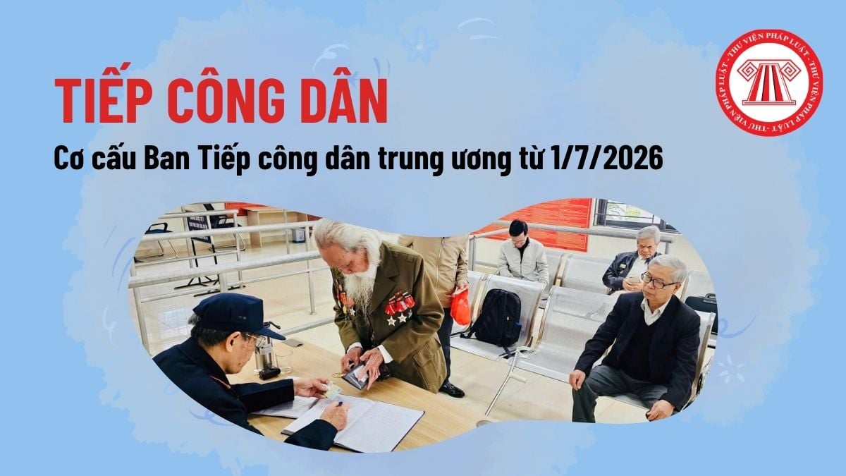 Pháp luật