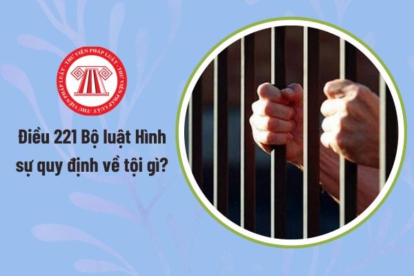 Pháp luật