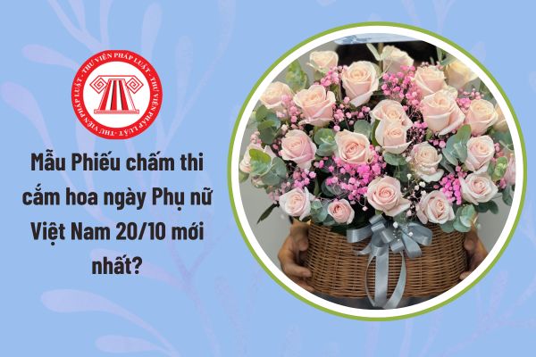 Pháp luật
