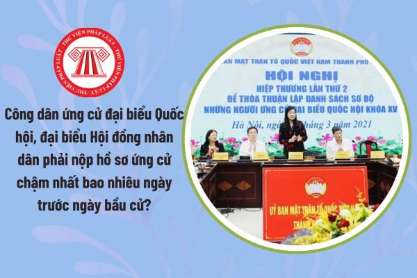 Pháp luật