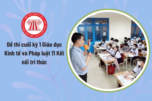Pháp luật