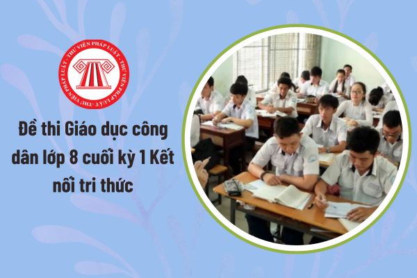 Pháp luật