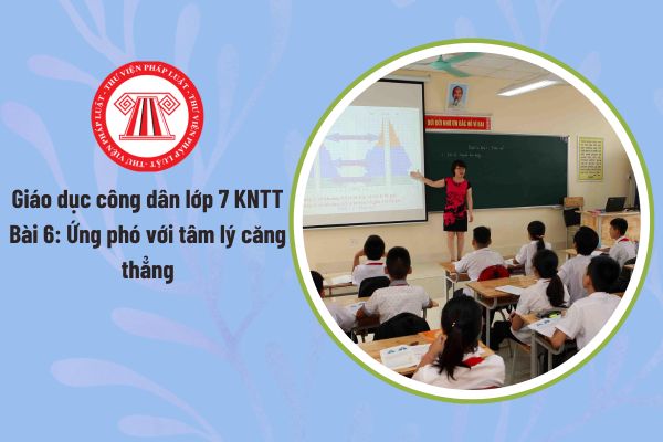 Pháp luật