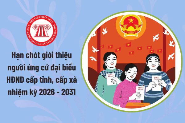 Pháp luật