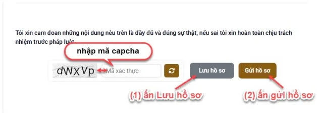 Link nộp hồ sơ online ứng cử đại biểu Quốc hội khóa XVI và đại biểu HĐND các cấp nhiệm kỳ 2026 - 2031