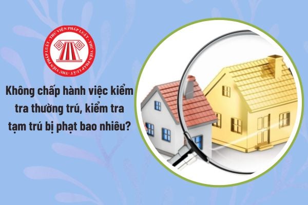 Pháp luật