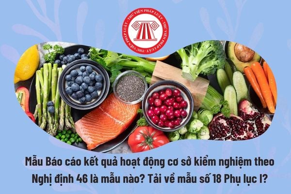 Pháp luật