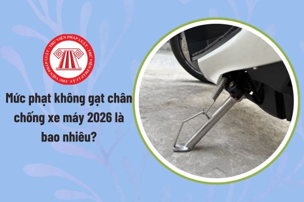 Pháp luật