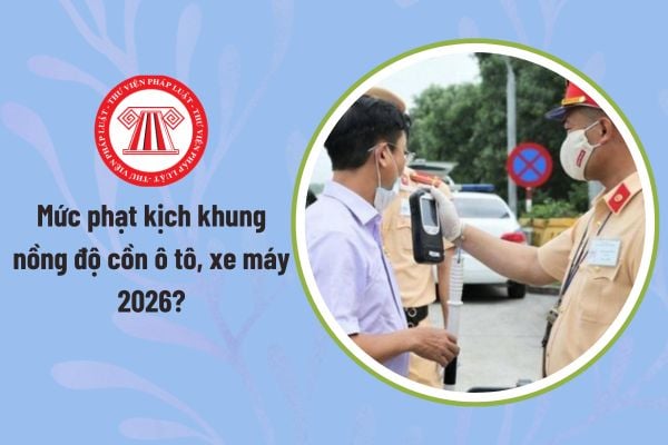 Pháp luật