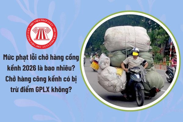 Pháp luật