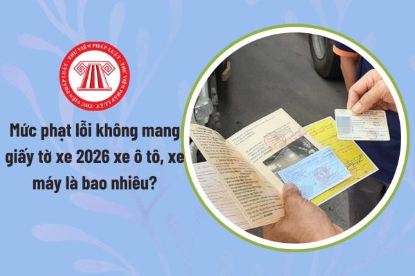 Pháp luật
