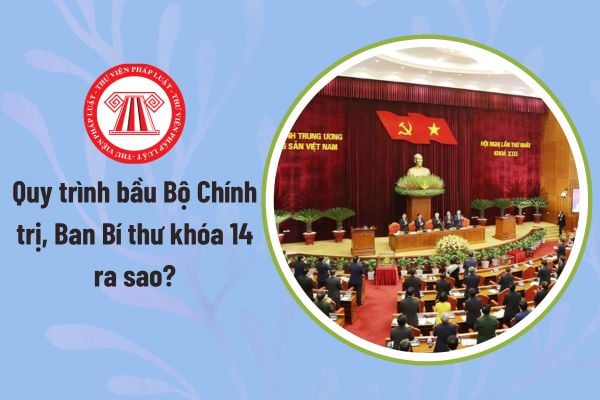 Pháp luật