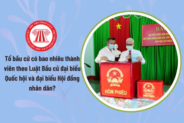 Pháp luật
