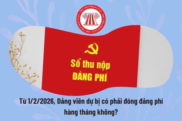 Pháp luật