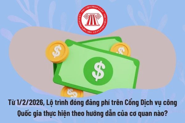 Pháp luật